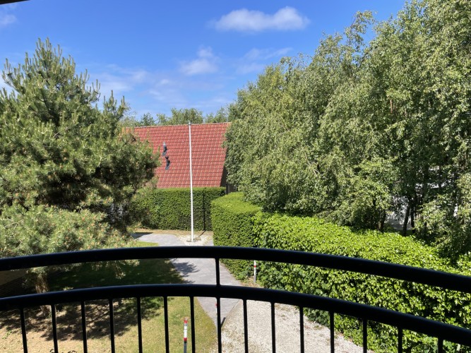 Hazelaaruitzicht frans balkon