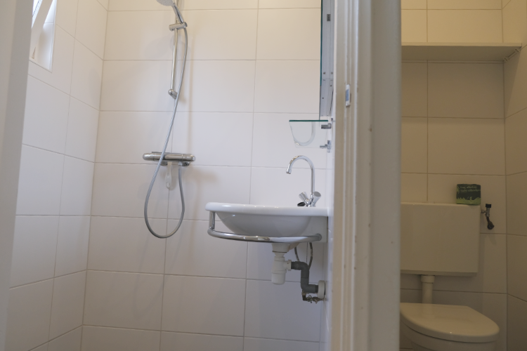 Lispeltuur douche toilet