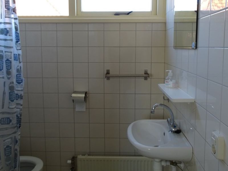 vakantiehuisje Koekoek badkamer